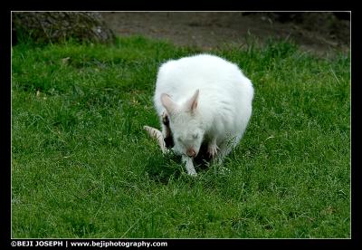 D200_A14_052906_0007.jpg