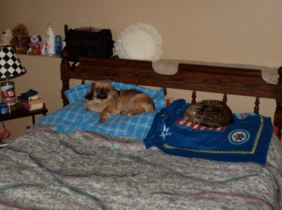 Keeping Warm And Comfortable