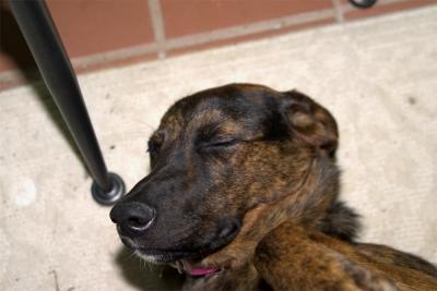CRW_2105.jpg