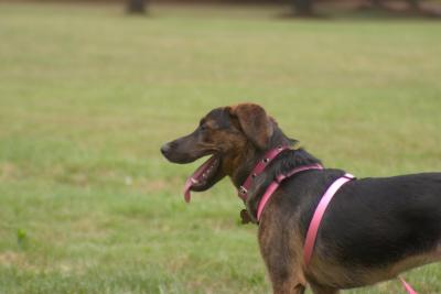 CRW_2251.jpg