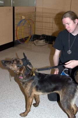 CRW_2433.jpg