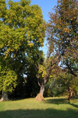 Herbst 2011