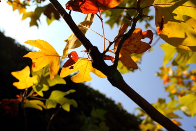 Herbst 2011