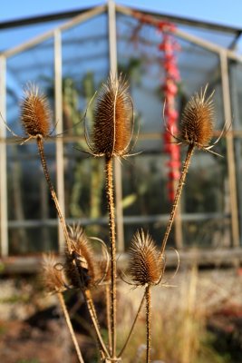 Herbst 2011