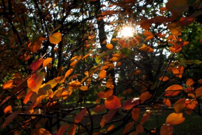 Herbst 2011