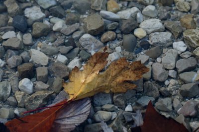 Herbst