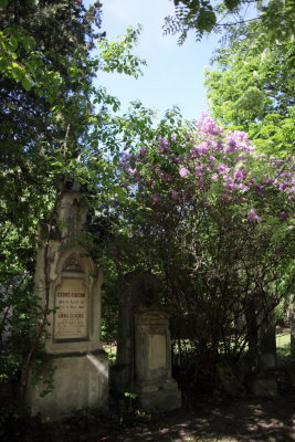 Friedhof St Marx