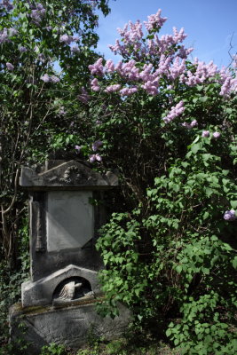 Friedhof St Marx