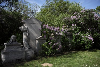 Friedhof St Marx