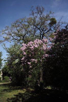 Friedhof St Marx