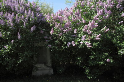 Friedhof St Marx
