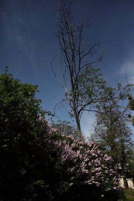 Friedhof St Marx