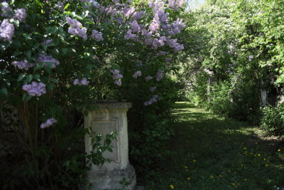 Friedhof St Marx