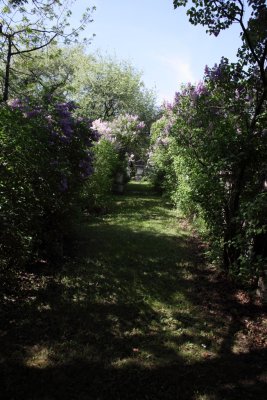 Friedhof St Marx