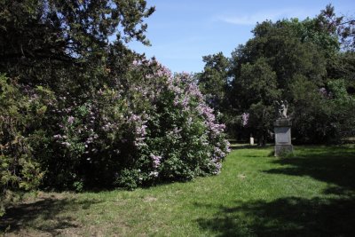Friedhof St Marx
