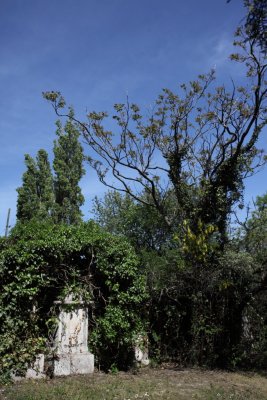 Friedhof St Marx