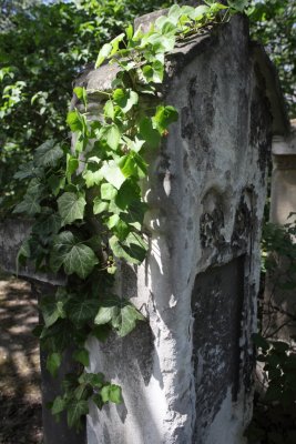 Friedhof St Marx