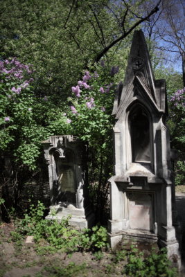 Friedhof St Marx