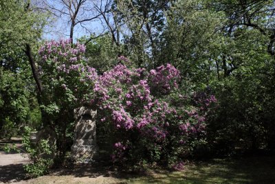 Friedhof St Marx