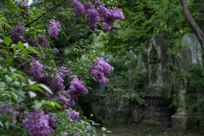 Friedhof St Marx