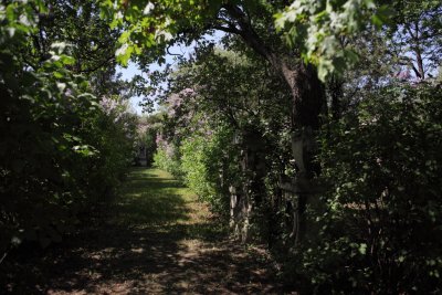 Friedhof St Marx