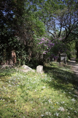 Friedhof St Marx