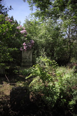 Friedhof St Marx