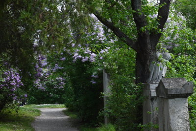 Friedhof St Marx