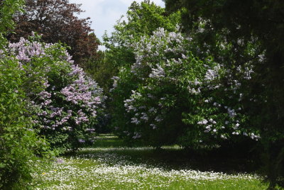 Friedhof St Marx