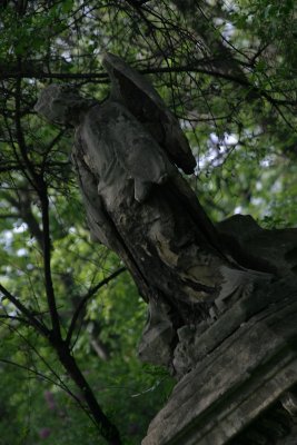 Friedhof St Marx