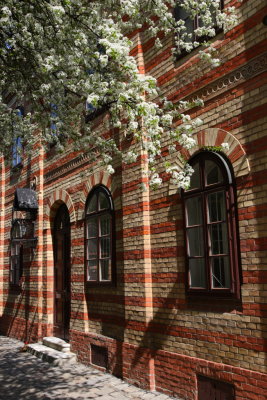 Friedhof St Marx