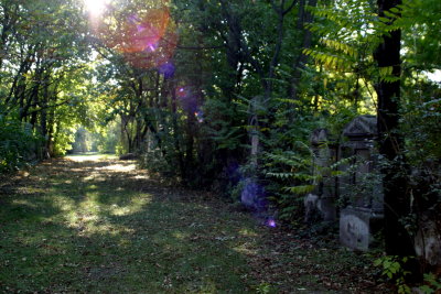 Friedhof St Marx