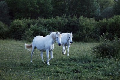 Vous ici si tard_0287r.jpg