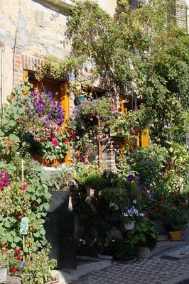 Toucy - Profusion_0686r.jpg