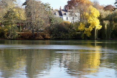 Automne en bord de Seine_1061r.jpg