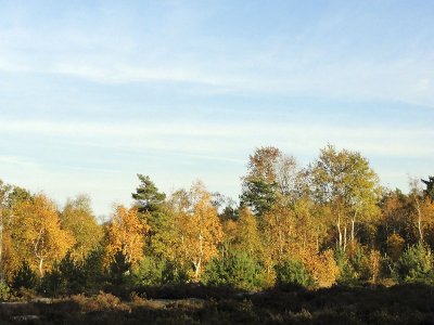 Fin de belle journe d'automne_02194r.jpg