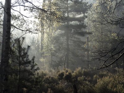 Matin d'automne aux Trois Pignons_02205r.jpg