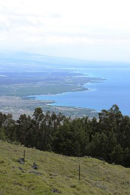 View over the Kona hotel area from Hwy 250.