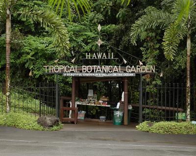 Hawaii Tropical Botanical garden.