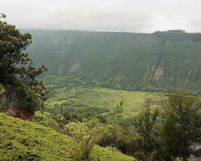 Valley overlook.