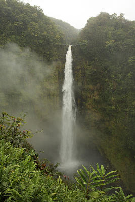 Akaka falls.