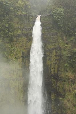 Akaka falls detail.