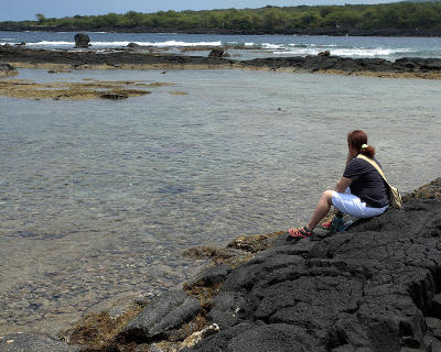 Watching turtles.