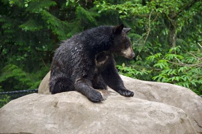 2012 05 26_0297.JPG