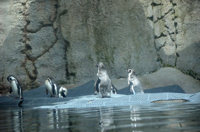2012 05 26_0338.JPG