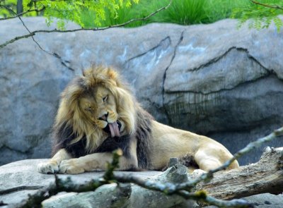 2012 05 26_0521.JPG