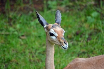 2012 05 26_0558.JPG