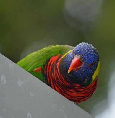 2012 05 26_0581.JPG