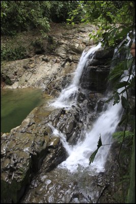 Waterfalls: Veragua Rain Forest Costa Rica
