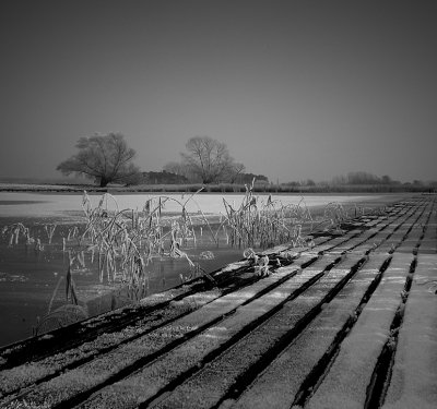 Frozen rows...